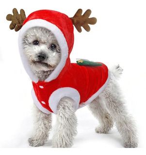 Disfraces Para Perro Chihuahua | MercadoLibre ???? Disfraces Para Perro Chihuahua | MercadoLibre ????