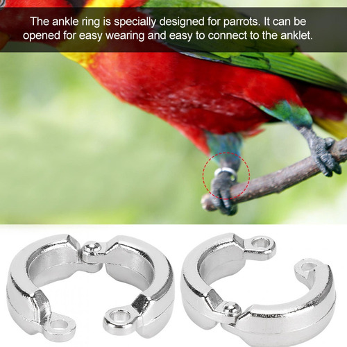 Anillo Para Pata De Aves, 10 Piezas