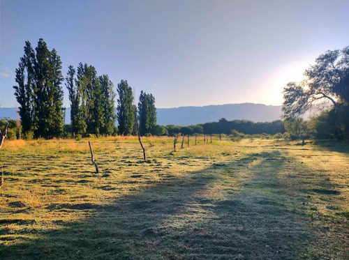 Colalao Del Valle - Terreno De 9000 M2- Zona De Viñedos