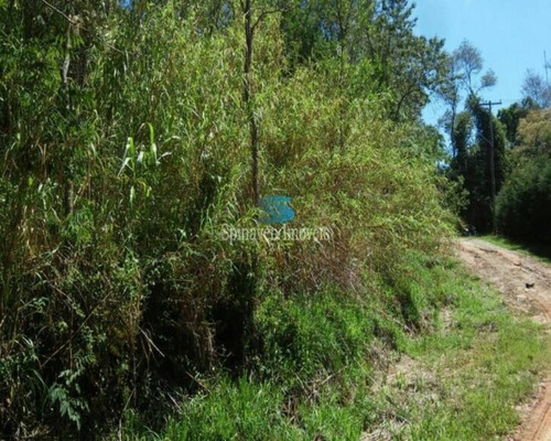 Imagem 5 de 11 de Terreno De 6.000 Metros Quadrados Em Condomínio Fechado Atibaia - Venda - Tc00105 - 69735407