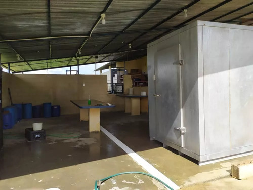Venta Granja Integral Productiva Avicola Ganadera Y Minera Tinaquillo Edo. Cojedes Negociable Con Financiamiento Jm