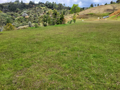 Venta Lote Campestre Sajonia Cercano Al  Aeropuerto Jmc