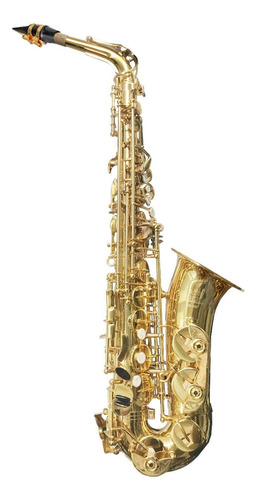 Saxofone Alto Roy Benson As202