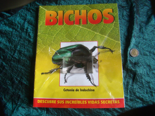 Cetonia De Indochina. Coleccion Insectos. Nuevo