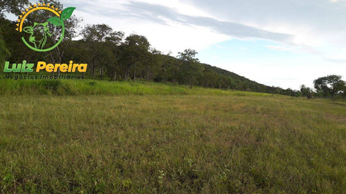 Imagem 3 de 5 de Fazenda À Venda Em Jardim - Ms - De 700 Hec/planta 500 Hectares De Soja - 1770