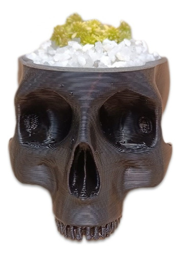 Materas Decorativas Suculentas Cactus Calavera 3d