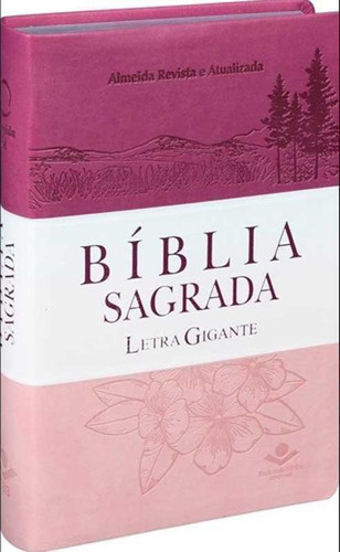 Livro Bíblia Sagrada Ra Md Lgig Sint Pk/br/rs