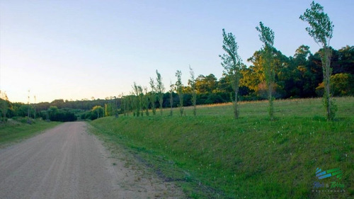 Imagen 9 de 15 de Vendo Terreno Lote En Los Tordillos Punta Ballena - Punta Ballena Los Tordillos