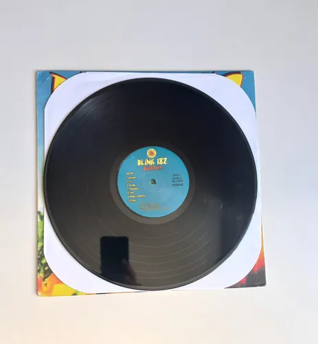 BLINK 182 BUDDHA 12インチLP レコード Lp Blink 182 - Buddha (vinil Remasterizado 2009) | Parcelamento