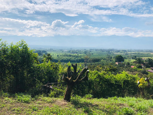 Se Vende Finca Lote En Pueblo Tapao