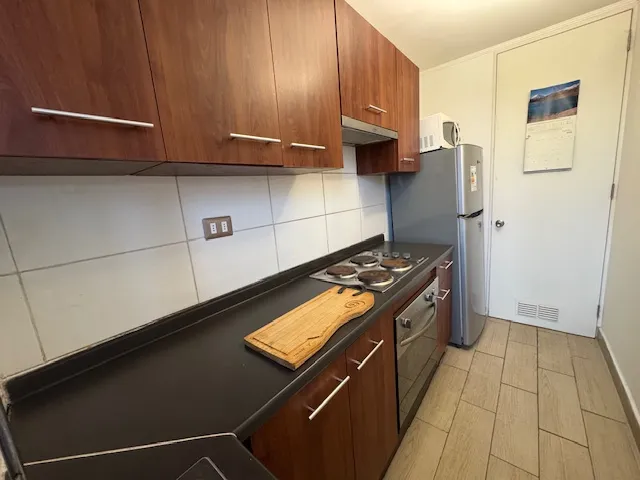 Imagen 4 de 13 de Arriendo Dpto Amoblado Av. Carrera / Pelantaro