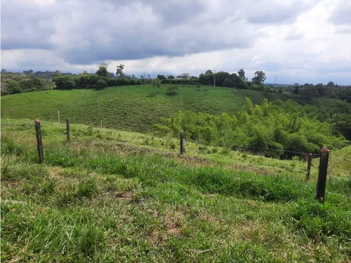Venta Finca Ganadera Filandia Via Quimbaya - 41 Cuadras