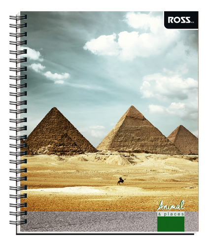 Cuaderno Univ. Croquis Ross  Animal Y Places 100hjs  10und