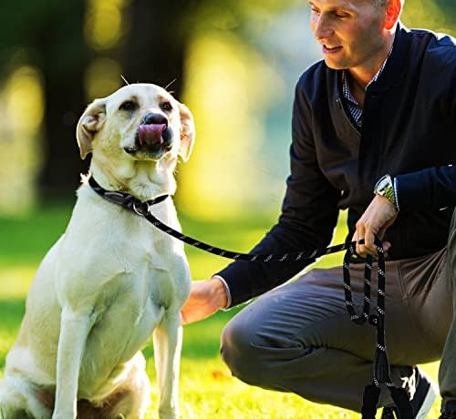 Correa Para Perro, Correa Resistente De 6 Pies Para Perro, D