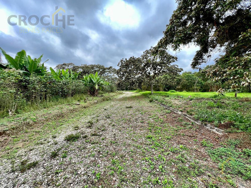 Terreno En Fraccionamiento Campestre Los Cafetales Xico Veracruz