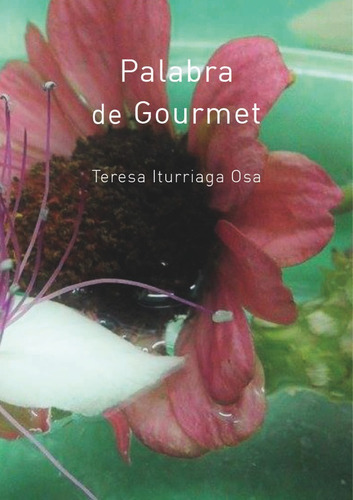 Palabra De Gourmet, De Iturriaga Osa, Teresa. Editorial La Vocal De Lis, S.c.p., Tapa Blanda En Español
