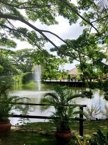 Casa En Alquiler Tucacas