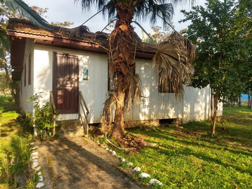 Imagem 8 de 15 de Charmosa Chácara Localizada Na Vila Das Palmeiras - Preço Imperdível - Ch0139