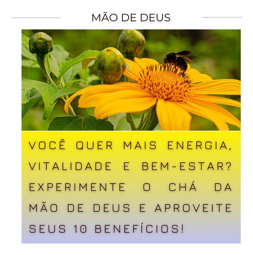 20 Chás Mão De Deus | Orgânica Autêntico 100% Puro Para Chá