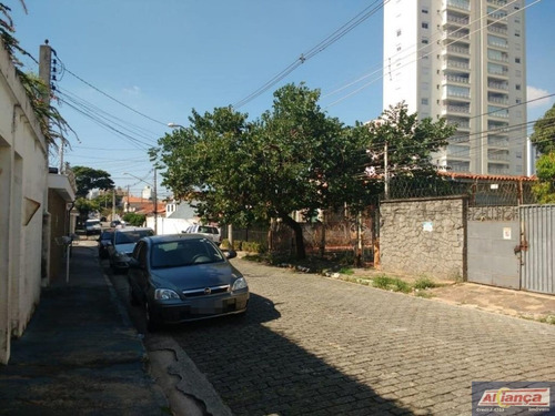Imagem 2 de 10 de Lote À Venda, Vila Milton, Guarulhos - Te0127. - Ai3665