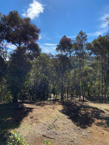 Lote En Venta En Guarne - La Honda