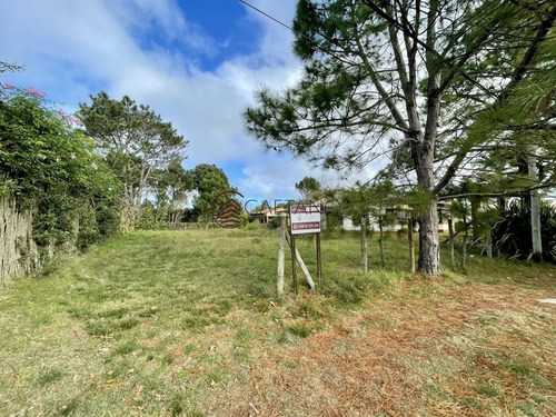 Imagen 4 de 4 de Terreno En Venta - Zona Barra - La Barra