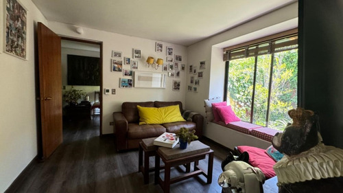 Bernardo Larrain / Calle Interior