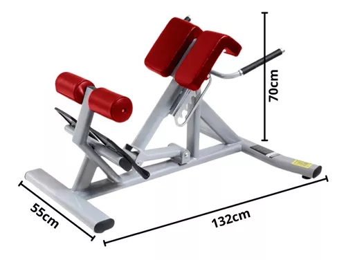 Silla romana, silla romana de hiperextensión resistente para gimnasio en  casa, equipo de ejercicio de banco de extensión de espalda ajustable, carga