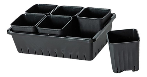 Maceta Para Trasplante De Plántulas, Caja De 6 Rejillas