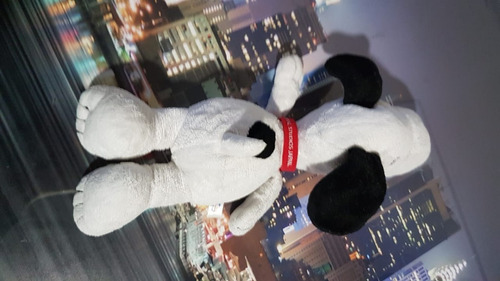 Snoopy Peluche - 30 Cm - Universal Studios Japan - Original