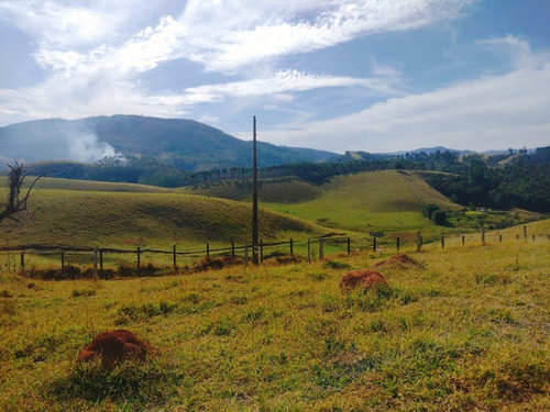 Imagem 6 de 11 de V03 Residencial De Chácaras Em Santa Isabel (área Arborizada) Terreno De 1000m²