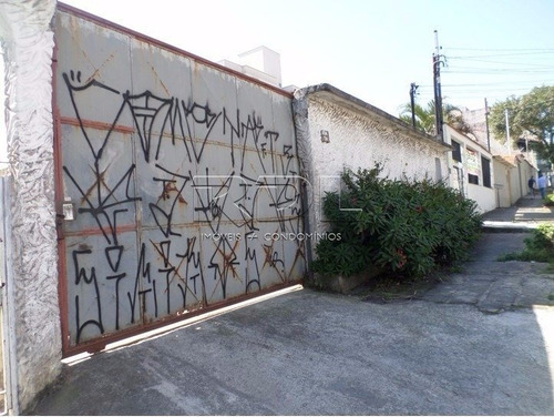Terreno Para Aluguel, Vila Floresta - Santo André/sp - 624