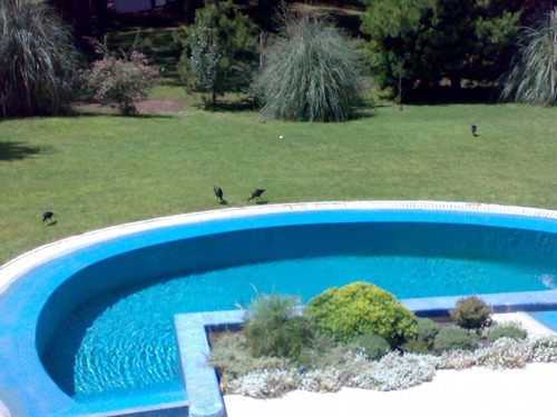 Imagen 3 de 14 de Cariló Alquiler Temporario Casa Pileta Climatizada Parque