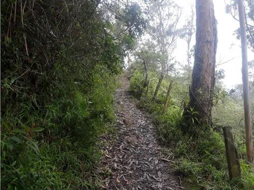 Vendo O Permuto Finca En Junin Cundinamarca