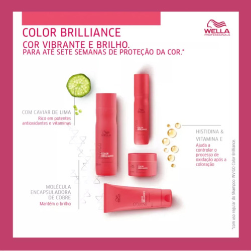 Shampoo Wella Invigo Color Brilliance Proteção Da Cor 250ml
