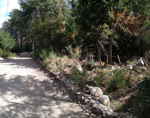 Venta De Lote Arbolado En Villa Traful Patagonia Argentina
