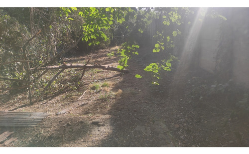 Zona Turistica Comercial B°el Quinto A Reciclar