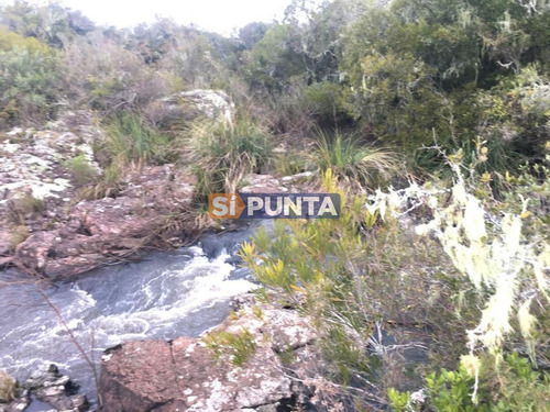 Imagen 6 de 8 de Campo En Venta, Paraje La Coronilla, Maldonado