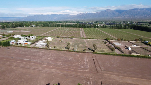Venta Lotes Barrio Verona Vistalba Lujan De Cuyo