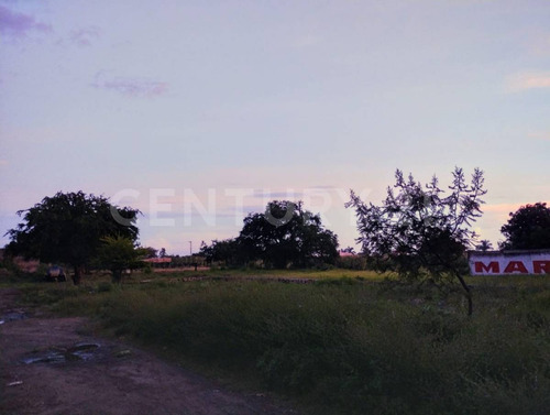 Terreno En Renta En Adolfo López Mateos, Yecapixtla, Morelos