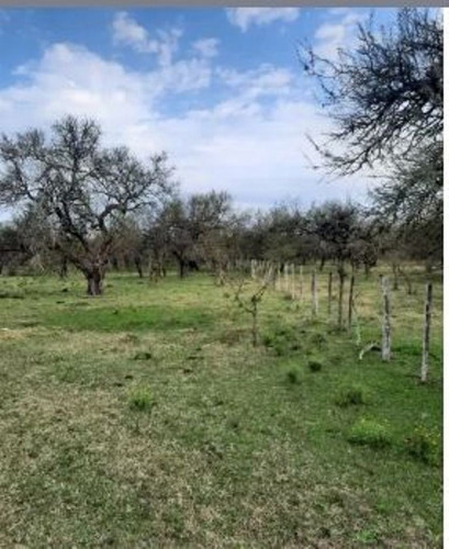 Imagen 4 de 6 de Se Vende 20 Hectáreas En Costa Uruguay Sur , Gualeguaychu