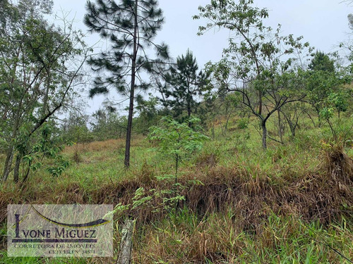 Imagem 5 de 6 de Sítio Em Governador Portela - Miguel Pereira - 3442