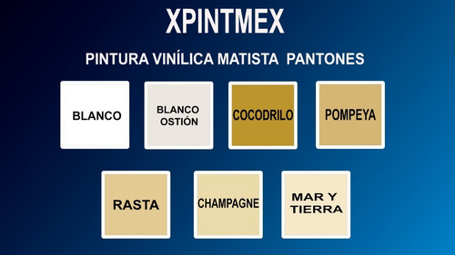 Imagen 3 de 4 de Pintura Vinílica Matista Galon 4l