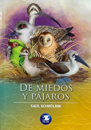 De Miedos Y Pájaros / Saul Schkolnik