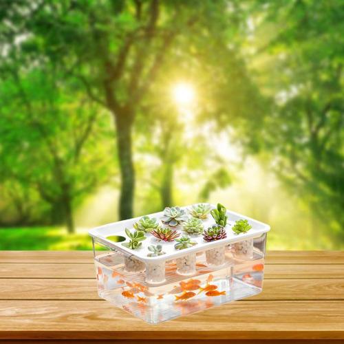 Caja De Hidropónico, Contenedor De Plantación De