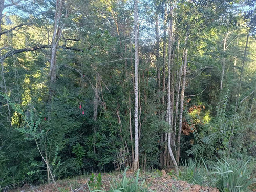Vende Parcela Cond Piedra Blanca , Valdivia (108616)