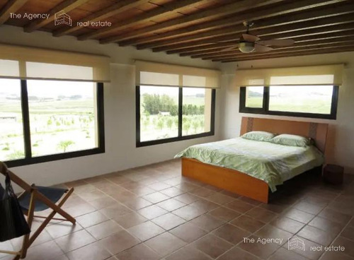 Imagen 8 de 13 de Chacra En Venta Punta Ballena Con Vista A La Laguna Del Sauce