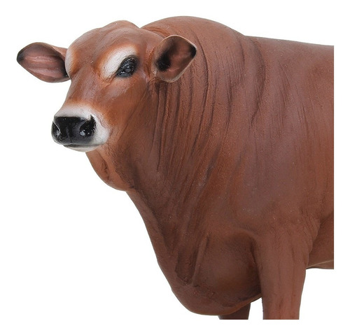 Imagem 4 de 5 de Escultura Em Resina Boi Senepol Home Western Decor 25702