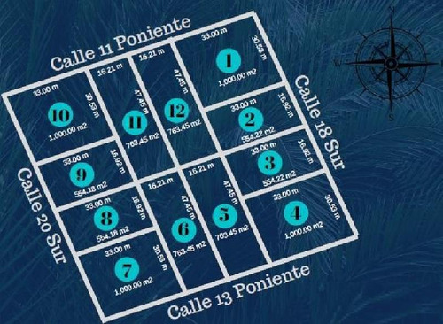 Imagen 7 de 8 de Terreno En Venta En Tulum