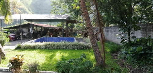 Imagen 21 de 24 de Se Vende Finca En Guayabita Turmero Estado Aragua/yessika Berrios 04249155109